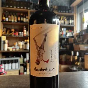 Kaiken Disobedience by Francis Mallmann
