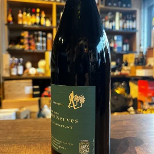 Domaine Des Roches Neuves Saumur-Champigny