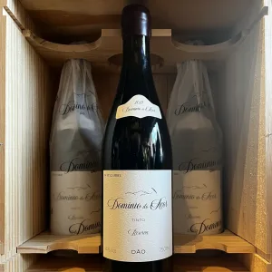 Dominio do Açor Reserva Dão