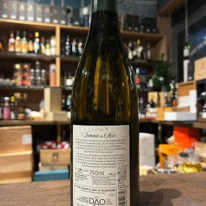 Dominio do Açor Vila Romana Branco Dão